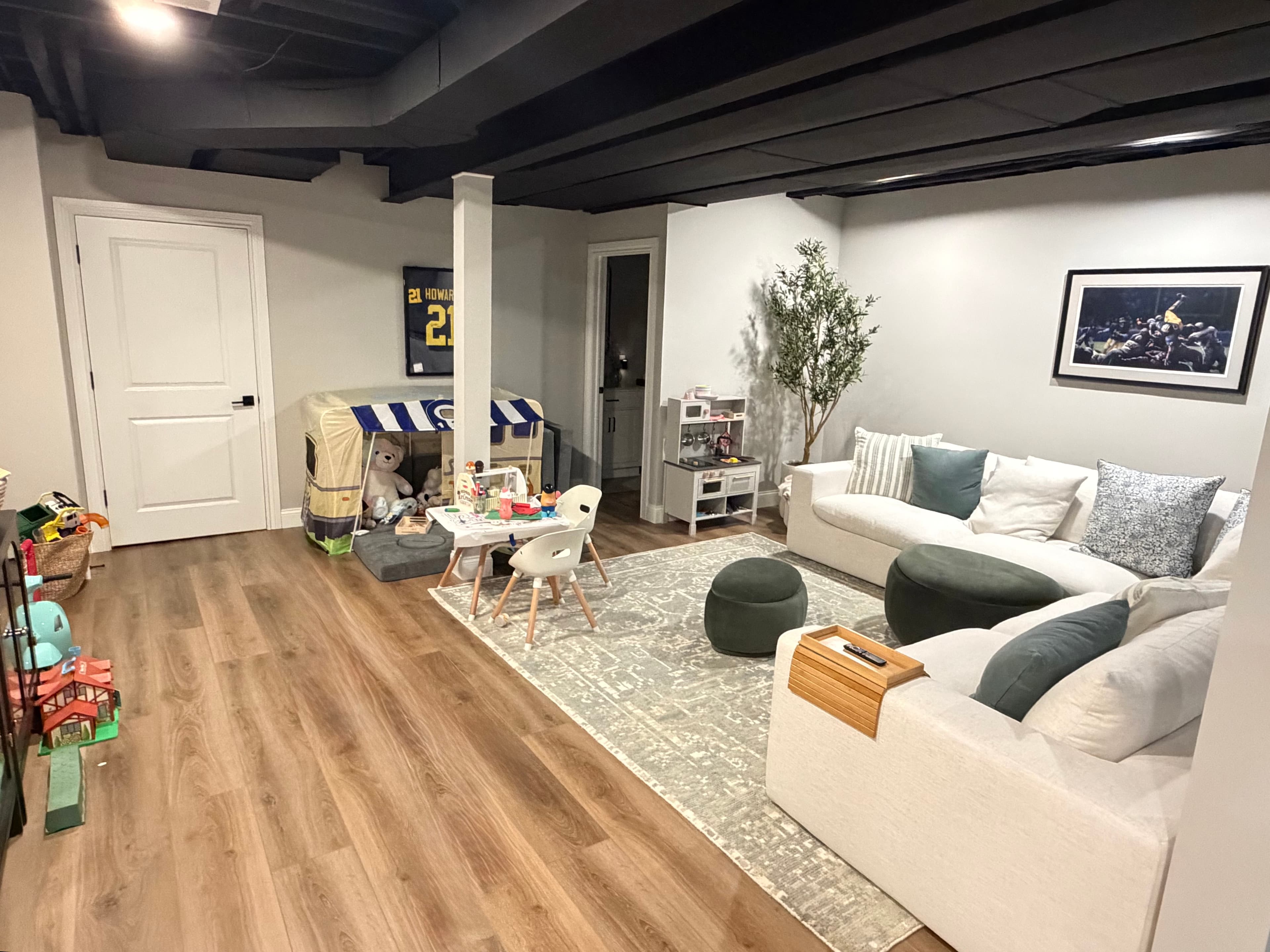 Finished basement living area